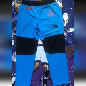 North face nylon pants NEVER STOP EXPLORING